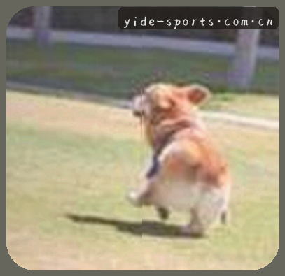 张伟